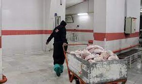 ذخیره‌سازی راهکاری برای پرنکشیدن مرغ از سفره شب عید