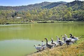 بازسازی آب بندانها یک تیر و چند نشان در رونق تولید و گردشگری گیلان بازسازی آب بندانها یک تیر و چند نشان در رونق تولید و گردشگری گیلان