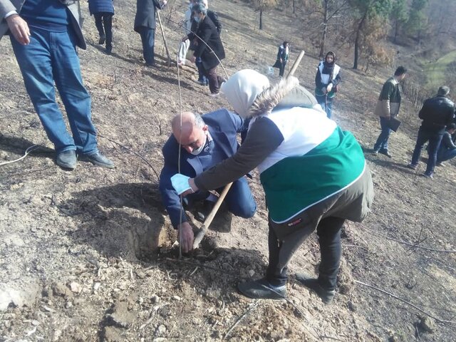 «بانی جنگل» در ۵ ناحیه رویشی کشور هستیم/ جنگل ها توان بهره برداری بیشتر را ندارند