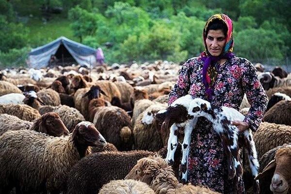 تاثیر آب و راه بر بهبود زندگی عشایر گیلان