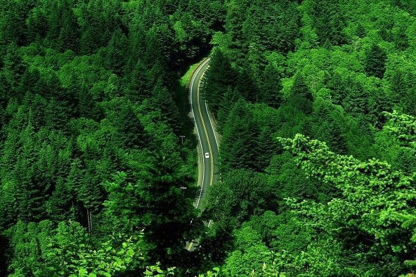 احیای منابع طبیعی گیلان با تخصیص اعتبار ۸۰ میلیاردی