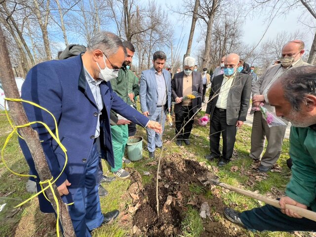 ۶۳ نهال به یاد ۶۳ شهید گیلانی انقلاب در رشت غرس شد
