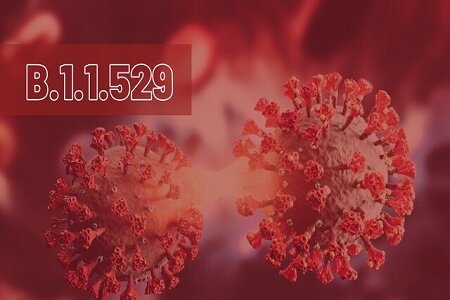 ۵ شهرستان گیلان قرمز شد/ بستری ۲۹۲ بیمار مبتلا ۵ شهرستان گیلان قرمز شد/ بستری ۲۹۲ بیمار مبتلا