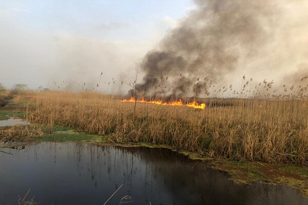 چوب حراج آتشافروزان بر پیکر خسته تالاب انزلی/ اجازه تصرف یک وجب از اراضی تالاب را نمی دهیم چوب حراج آتشافروزان بر پیکر خسته تالاب انزلی/ اجازه تصرف یک وجب از اراضی تالاب را نمی دهیم