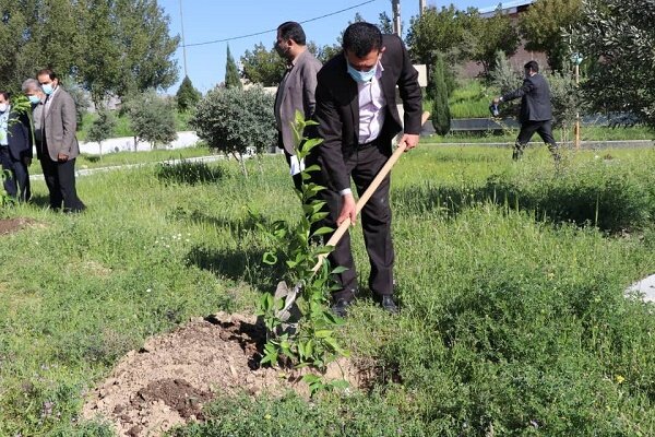 طرح آرامش بهاری در ۳۰ بقعه رشت/ غرس ۷ هزار نهال در سطح بقاع شاخص 