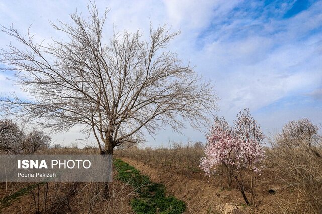 دمای گیلان تا ۱۰ درجه گرم می شود/ احتمال گسیل گرد و خاک