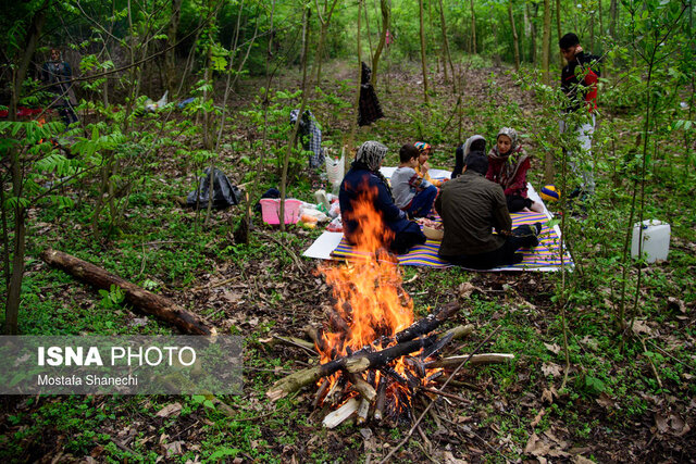 گردشگری غیرمسئولانه به طبیعت کشور آسیب زده/ آرامش حیات وحش را بر هم نزنید گردشگری غیرمسئولانه به طبیعت کشور آسیب زده/ آرامش حیات وحش را بر هم نزنید