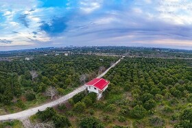 نخبگان حوزه کشاورزی در گیلان از تسهیلات ویژه برخوردار می‌شوند