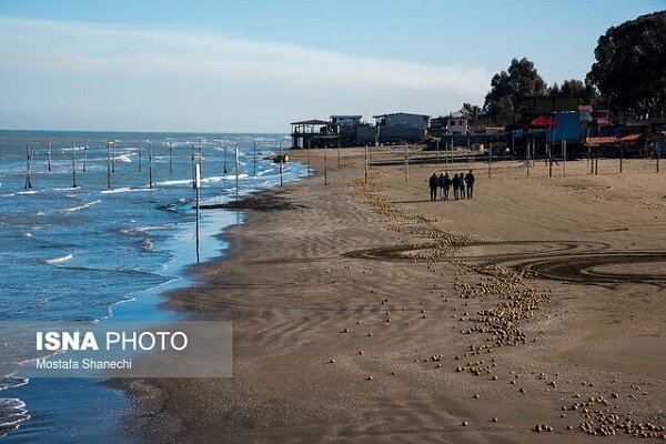 قادریحاجت: هنوز دریا را به خوبی نشناختهایم قادریحاجت: هنوز دریا را به خوبی نشناختهایم