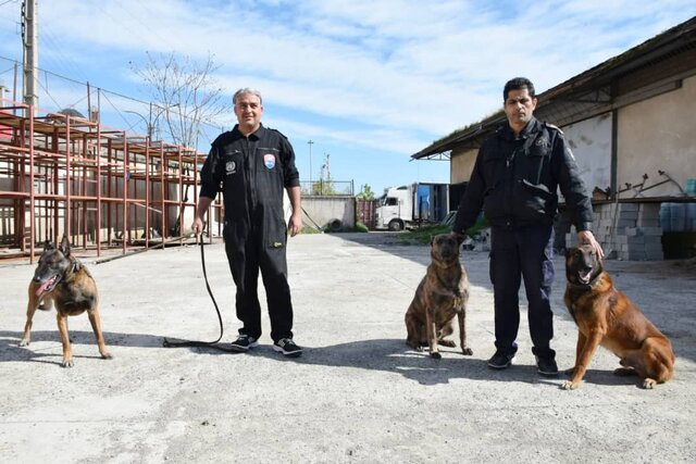 سگ های موادیاب؛ عامل بازدارنده مهم در قاچاق از مرز آستارا/ ضرورت تقویت زیرساخت های گمرکی