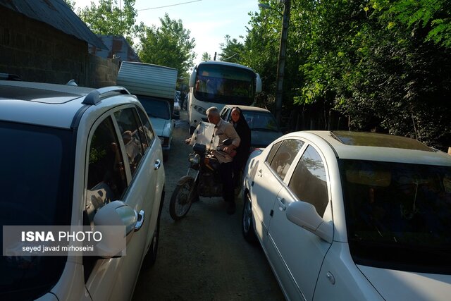 جشنواره گل محمدی و گلابگیری گیلده