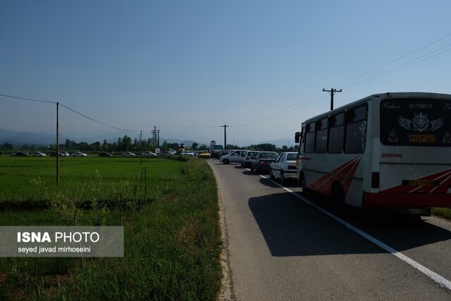 جشنواره گل محمدی و گلابگیری گیلده