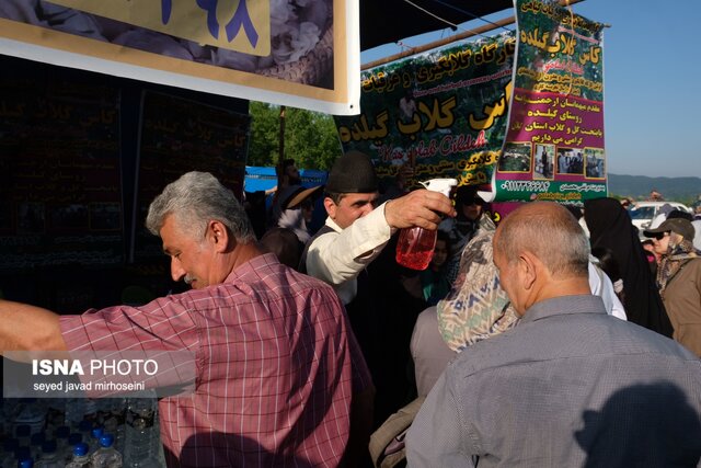جشنواره گل محمدی و گلابگیری گیلده