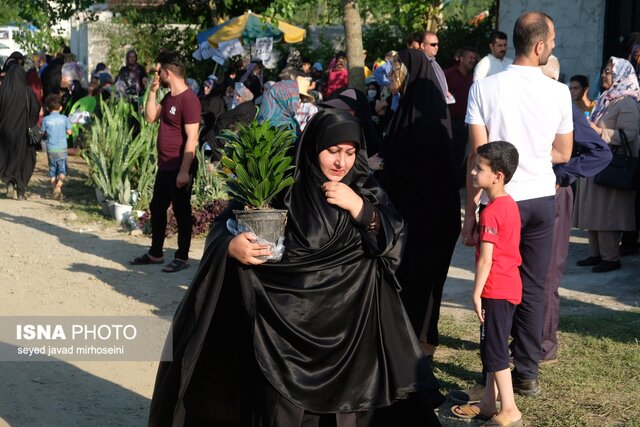 جشنواره گل محمدی و گلابگیری گیلده