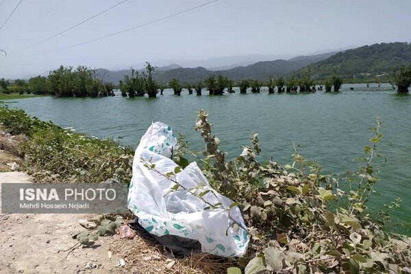 افزایش حجم زباله های رها شده در بخش گردشگری تالاب استیل + تصاویر