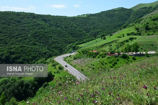 بفرمایید شیر بلال حیران - آستارا