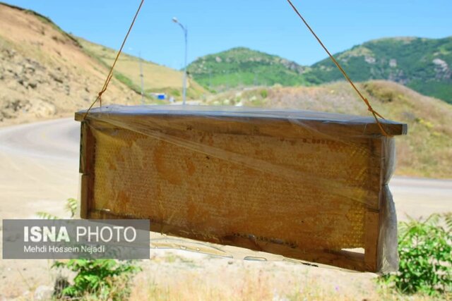 زنبورستان های آستارا در گردنه حیران