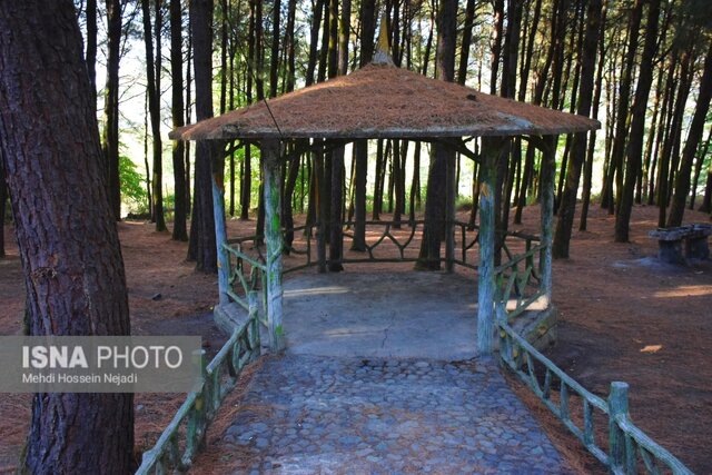 پارک جنگلی بی بی یانلو؛ طبیعتی بکر در نوار مرزی آستارا