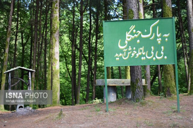 پارک جنگلی بی بی یانلو؛ طبیعتی بکر در نوار مرزی آستارا