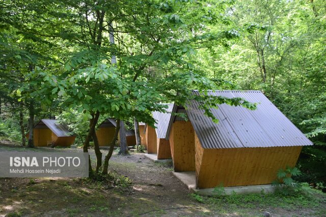 پارک جنگلی بی بی یانلو؛ طبیعتی بکر در نوار مرزی آستارا