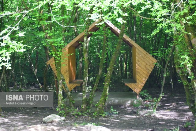 پارک جنگلی بی بی یانلو؛ طبیعتی بکر در نوار مرزی آستارا