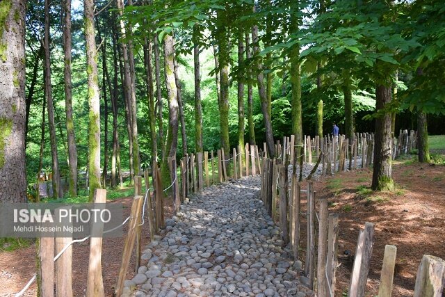پارک جنگلی بی بی یانلو؛ طبیعتی بکر در نوار مرزی آستارا