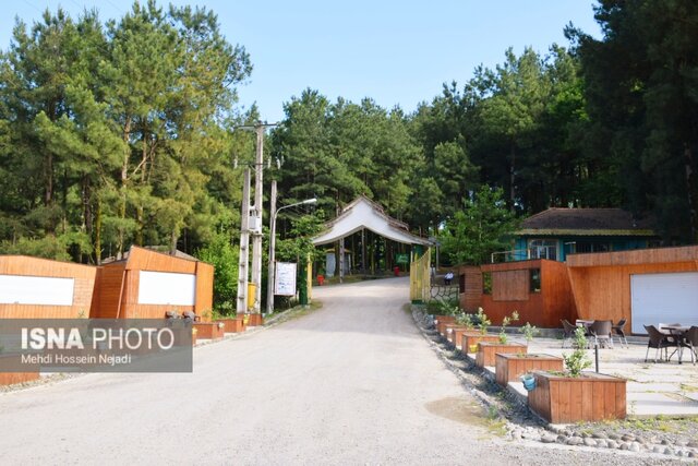 پارک جنگلی بی بی یانلو؛ طبیعتی بکر در نوار مرزی آستارا