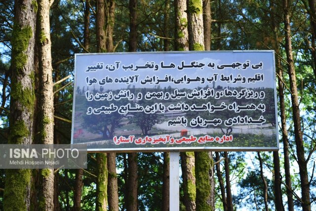 پارک جنگلی بی بی یانلو؛ طبیعتی بکر در نوار مرزی آستارا