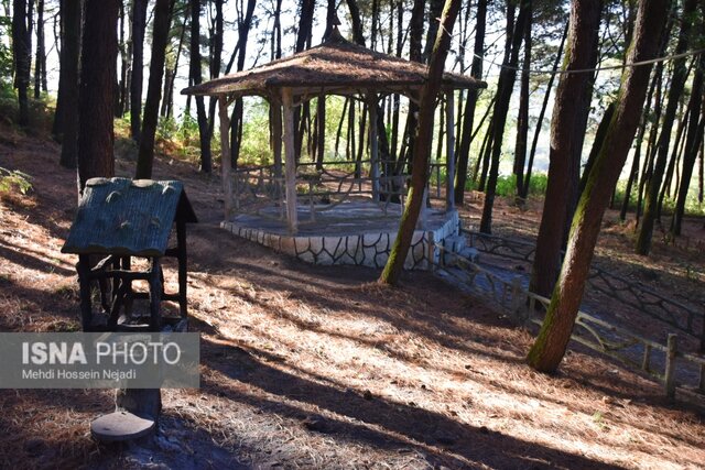 پارک جنگلی بی بی یانلو؛ طبیعتی بکر در نوار مرزی آستارا