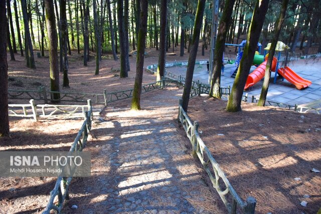 پارک جنگلی بی بی یانلو؛ طبیعتی بکر در نوار مرزی آستارا