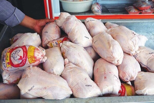 باز هم افزایش قیمت مرغ در کرمانشاه 