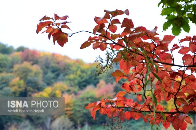 رخت پاییز بر تن طبیعت شهرستان مرزی آستارا