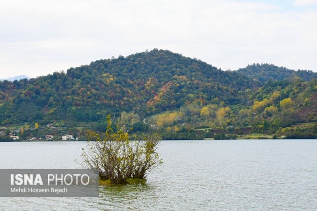 رخت پاییز بر تن طبیعت شهرستان مرزی آستارا