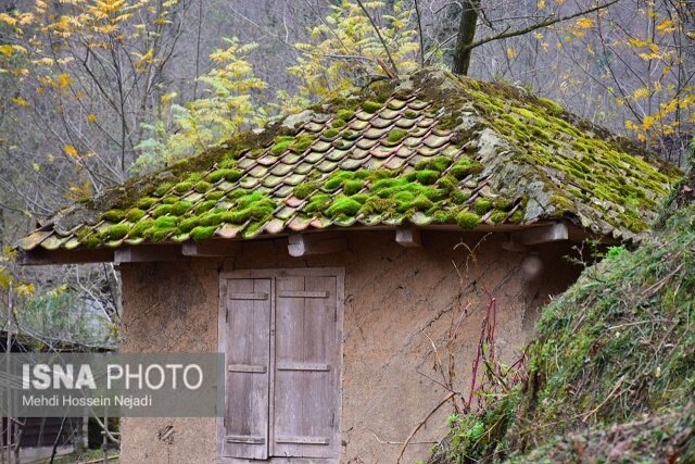 رخت پاییز بر تن طبیعت شهرستان مرزی آستارا