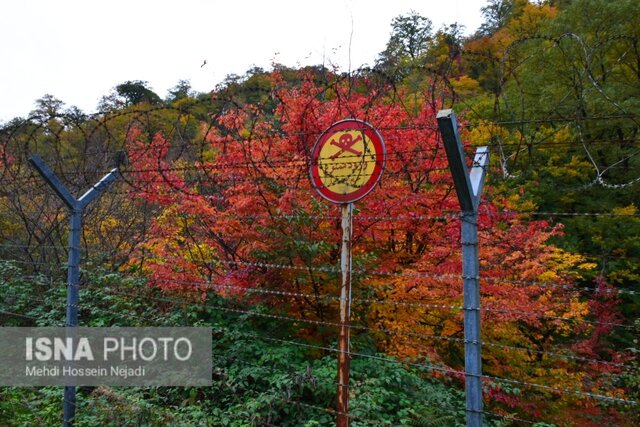 رخت پاییز بر تن طبیعت شهرستان مرزی آستارا