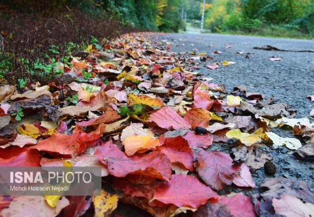رخت پاییز بر تن طبیعت شهرستان مرزی آستارا