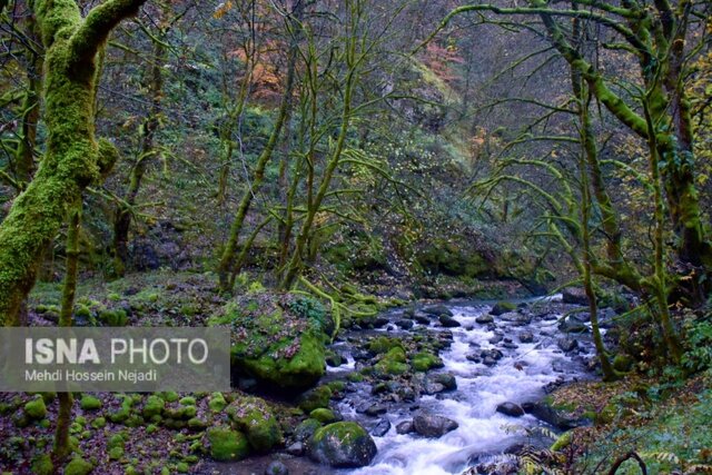 رخت پاییز بر تن طبیعت شهرستان مرزی آستارا