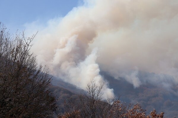 آتش سوزی اخیر جنگل های گیلان چقدر خطرناک بود؟