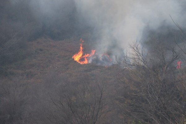 آتش سوزی اخیر جنگل های گیلان چقدر خطرناک بود؟