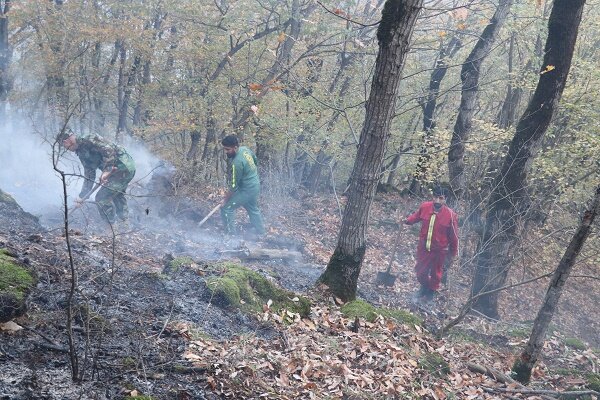 آتش سوزی اخیر جنگل های گیلان چقدر خطرناک بود؟