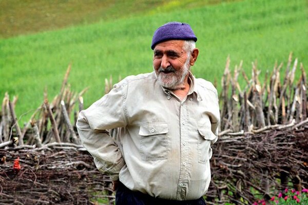 ۵۰۰۰ خانوار؛ مستمری بگیر صندوق بیمه اجتماعی روستاییان گیلان