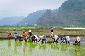 ۱۵ اثر ناملموس گیلان در فهرست آثار ملی ثبت شد
