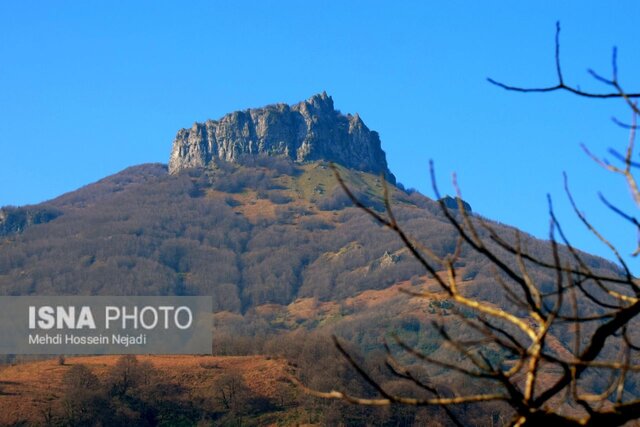 شکوه «لاتون» زیبا در پاییز - آستارا