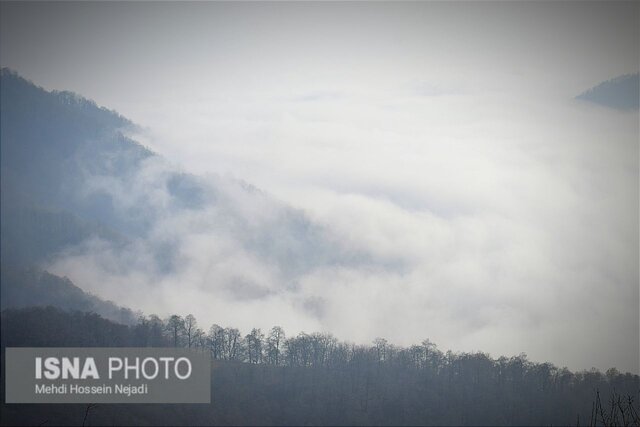 شکوه «لاتون» زیبا در پاییز - آستارا