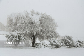 بارش برف و باران در گیلان تا چهارشنبه
