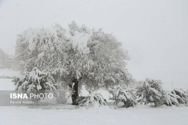 بارش برف و باران در گیلان تا چهارشنبه