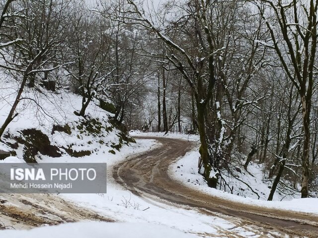 اقدام جهادی برای محرومیتزدایی در روستای شیری حیاطی