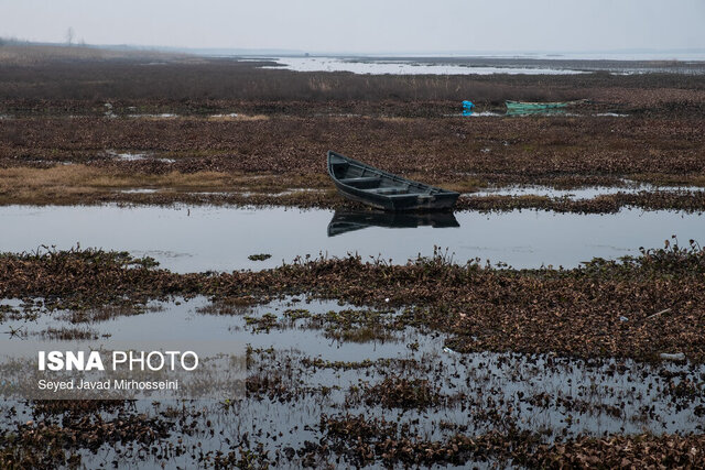 تدوین برنامه ۱۰ ساله برای احیای تالاب انزلی
