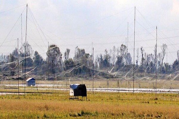 جمع آوری تورهای هوایی صید در آستانه اشرفیه جمع آوری تورهای هوایی صید در آستانه اشرفیه