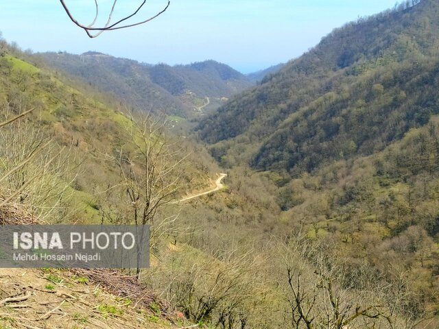 خانه والدین شهید جاویدنام «محمد پیدا» برق دار شد